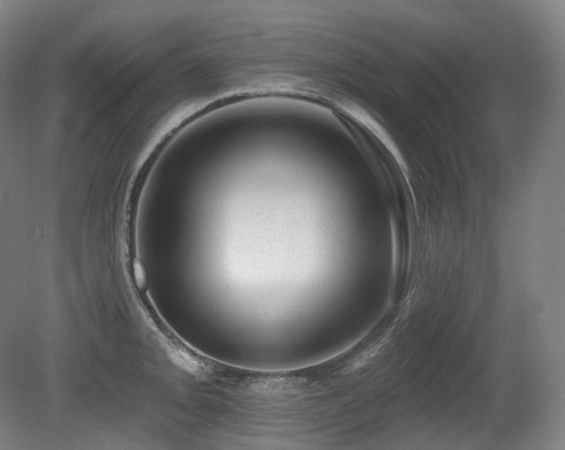 X0000079291093200611171045