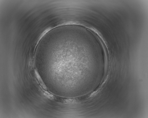 X0000079291097200611171045