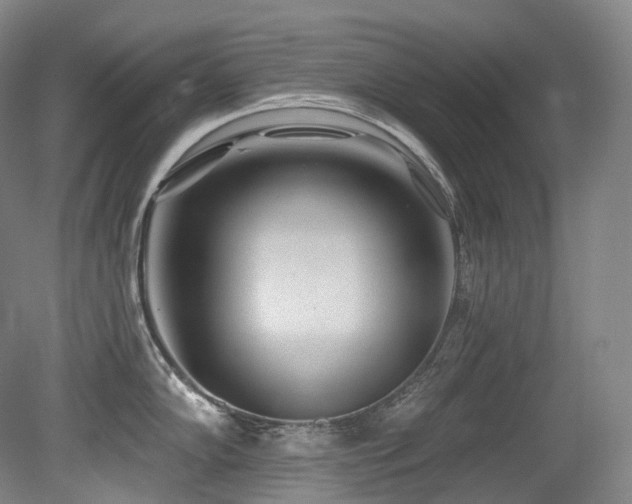 X0000079291102200611171045