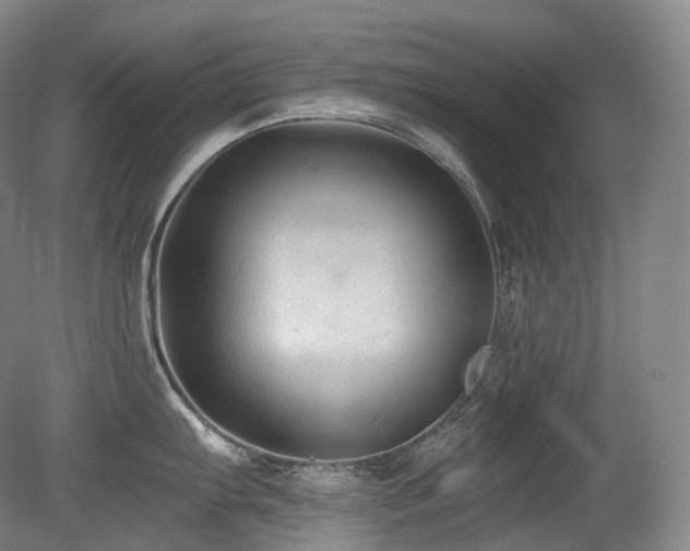 X0000079291103200611171045