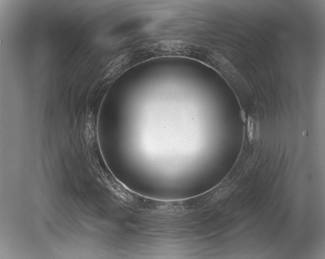 X0000079291107200611171044