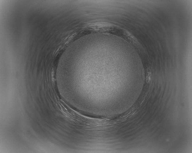 X0000079291108200611171044