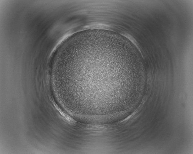 X0000079291115200611171044