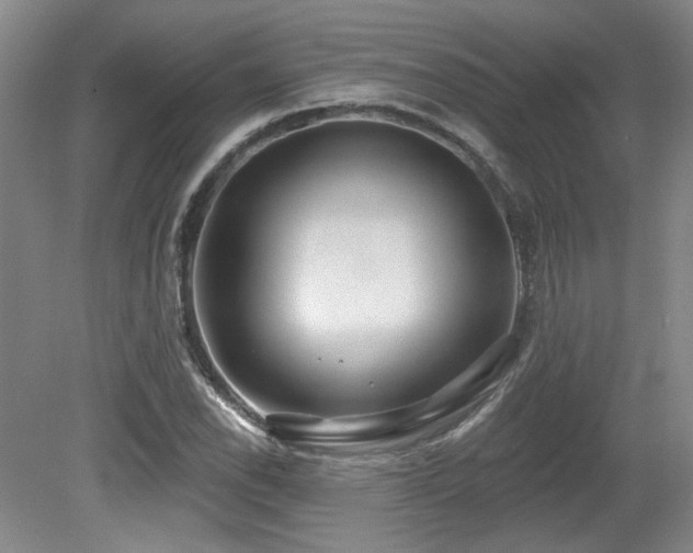 X0000079291118200611171044