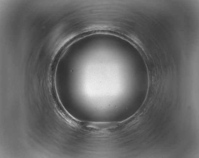 X0000079291119200611171044