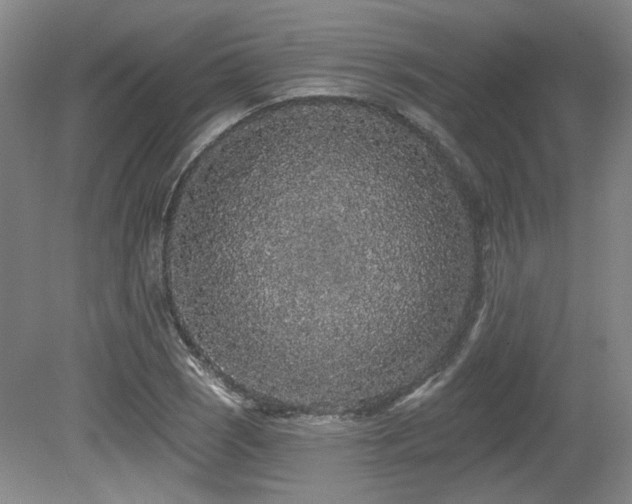X0000079291121200611171044
