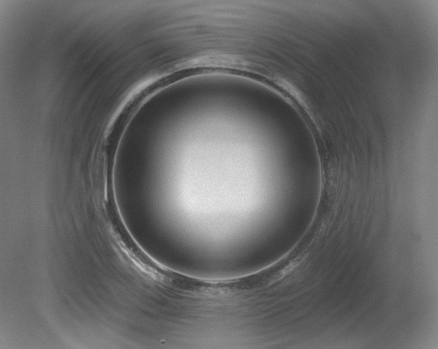 X0000079291123200611171044