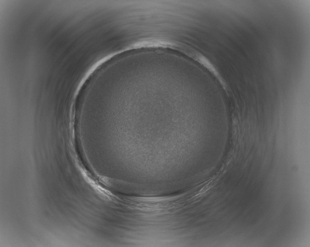 X0000079291124200611171044