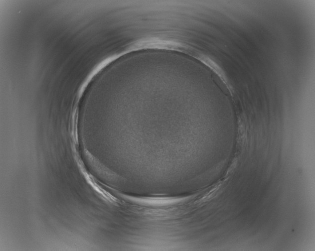 X0000079291128200611171044