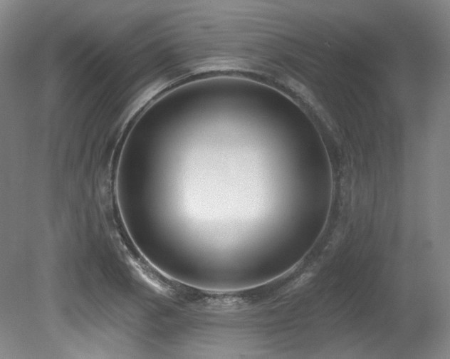X0000079291129200611171044
