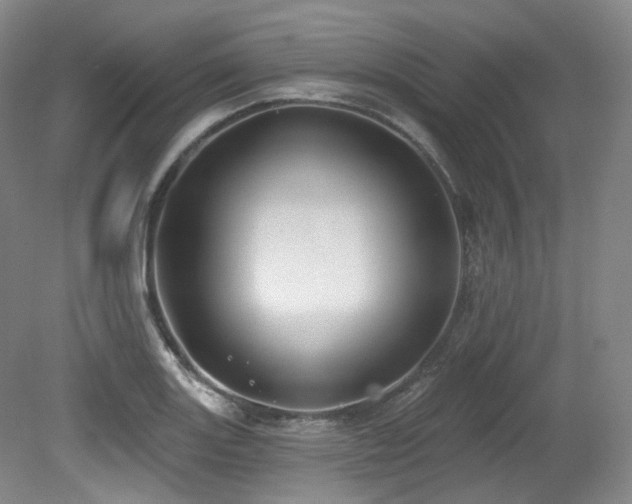 X0000079291131200611171044
