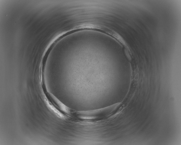 X0000079291132200611171044