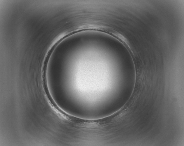 X0000079291135200611171044