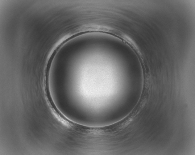 X0000079291136200611171044