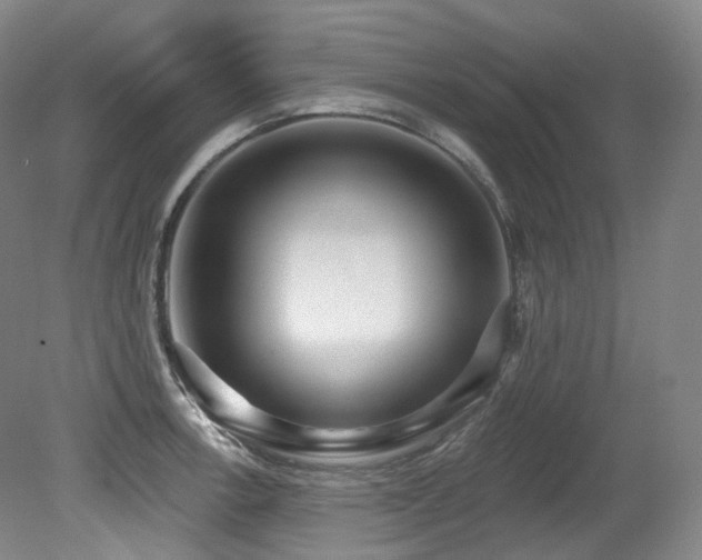 X0000079291138200611171044