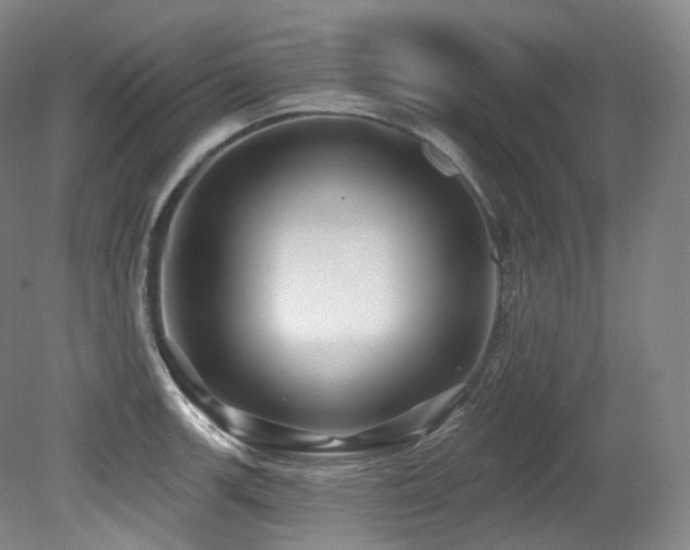 X0000079291139200611171044