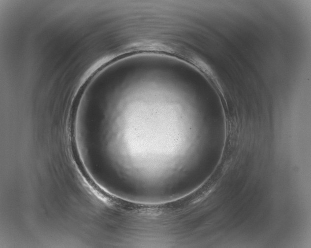 X0000079291141200611171044