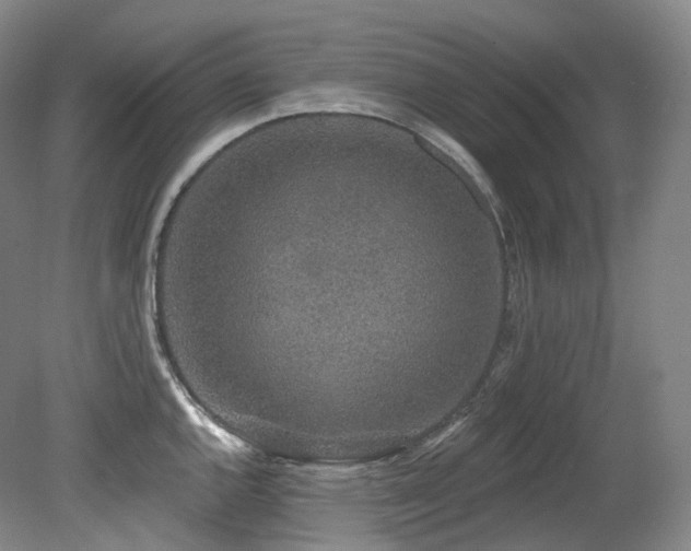 X0000079291144200611171044