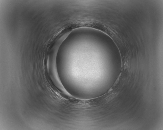 X0000079291156200611171044