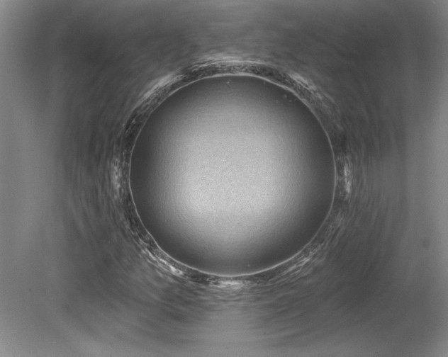 X0000079291157200611171044