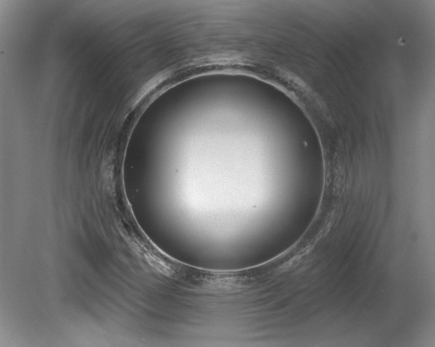 X0000079291162200611171044