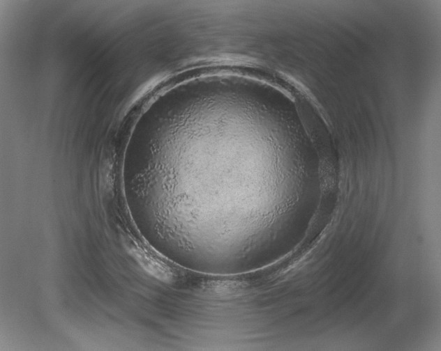 X0000079291163200611171044