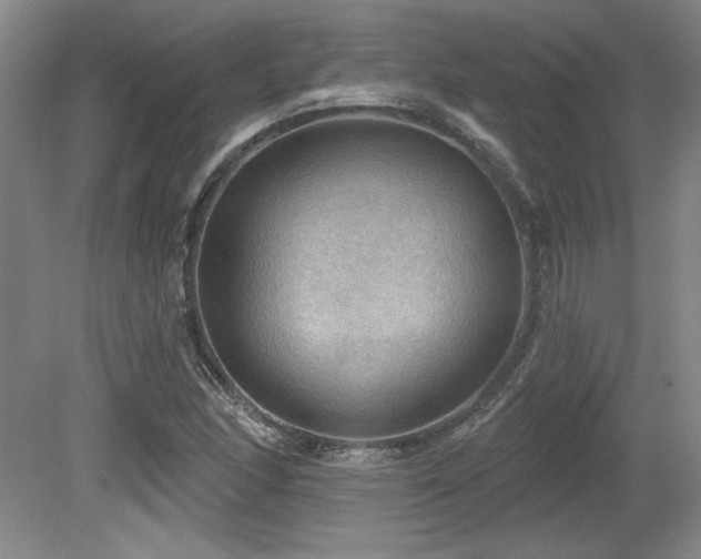 X0000079291166200611171044