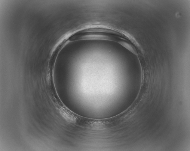X0000079291167200611171044
