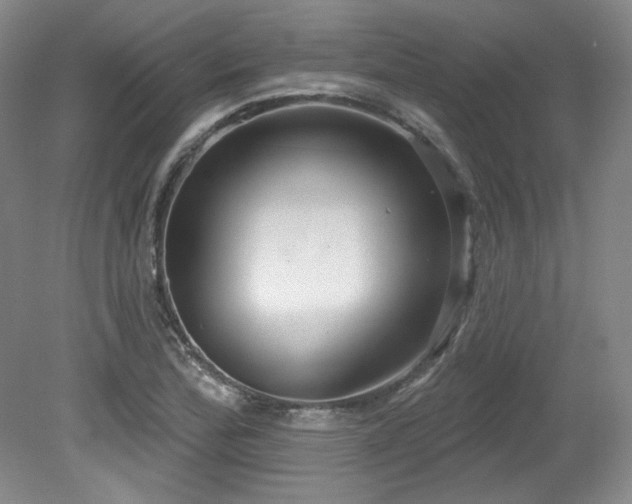 X0000079291172200611171043