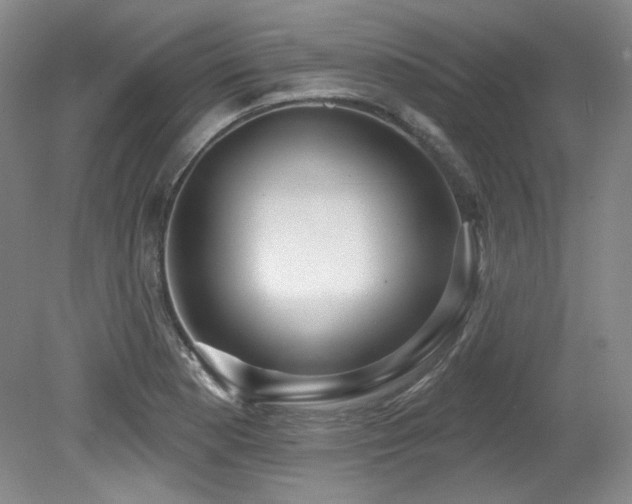 X0000079291177200611171043