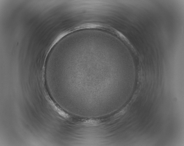 X0000079291178200611171043