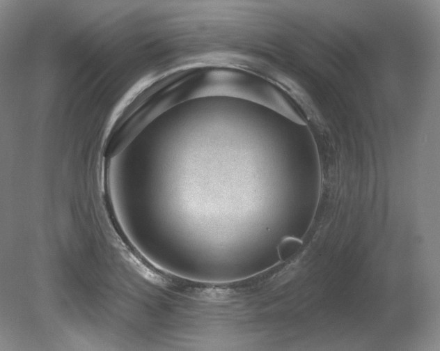 X0000079291180200611171043