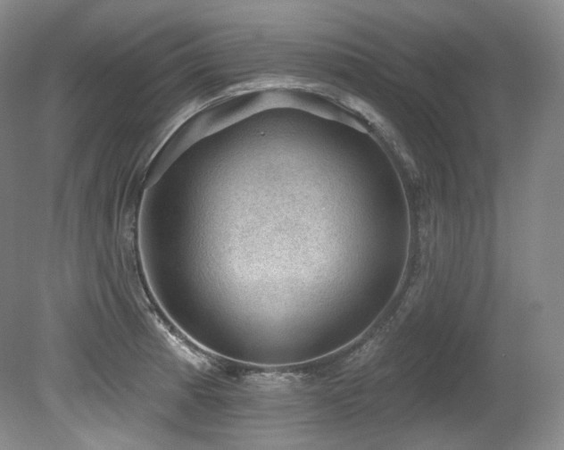 X0000079291185200611171043