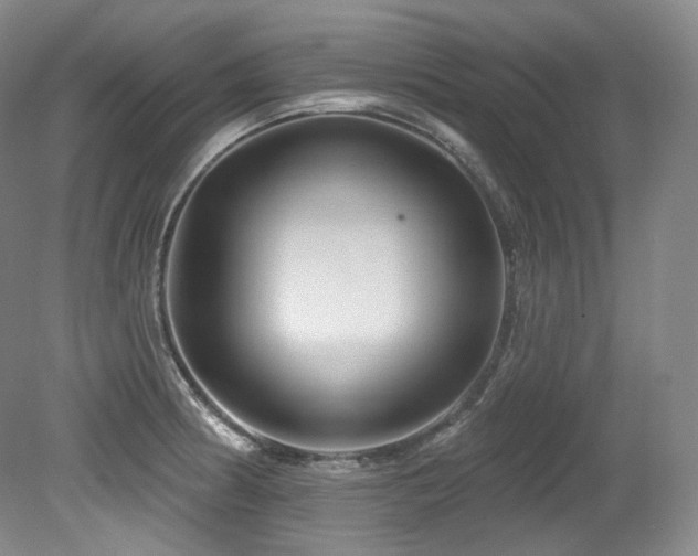 X0000079291186200611171043