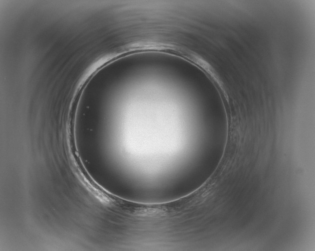 X0000079291187200611171043