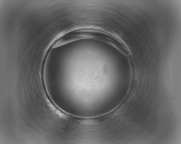X0000079291189200611171043