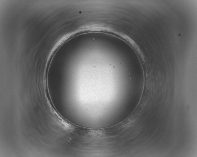 X0000079291191200611171043