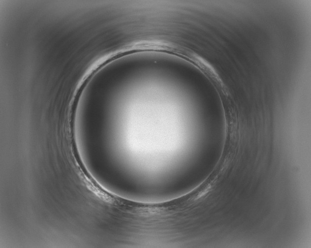 X0000079291192200611171043