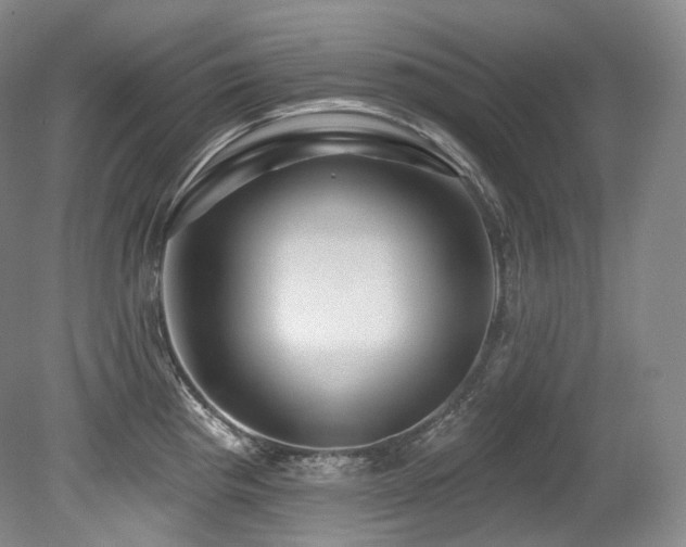 X0000079291193200611171043