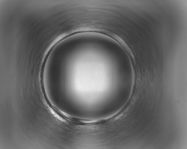 X0000079291197200611171043
