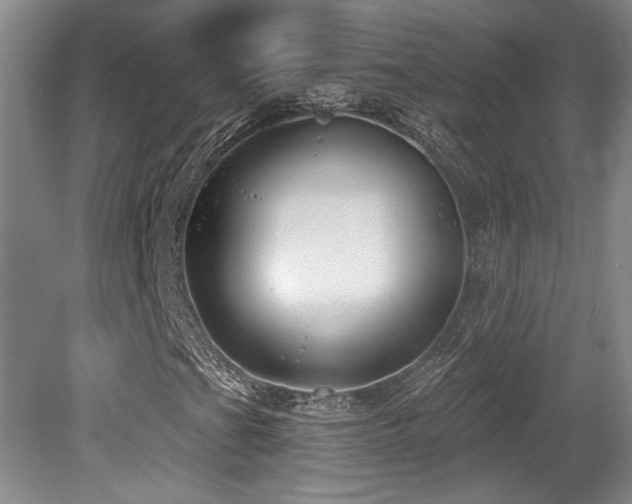 X0000079291201200611171042