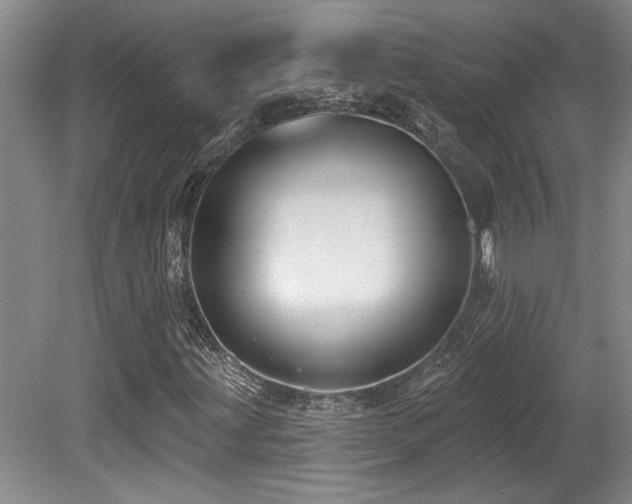 X0000079291203200611171042