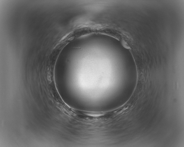 X0000079291205200611171042