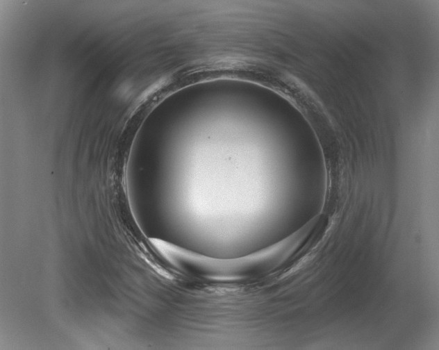X0000079291210200611171042