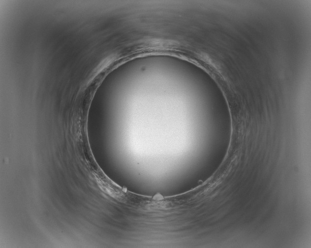 X0000079291211200611171042