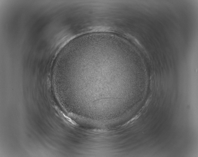 X0000079291212200611171042