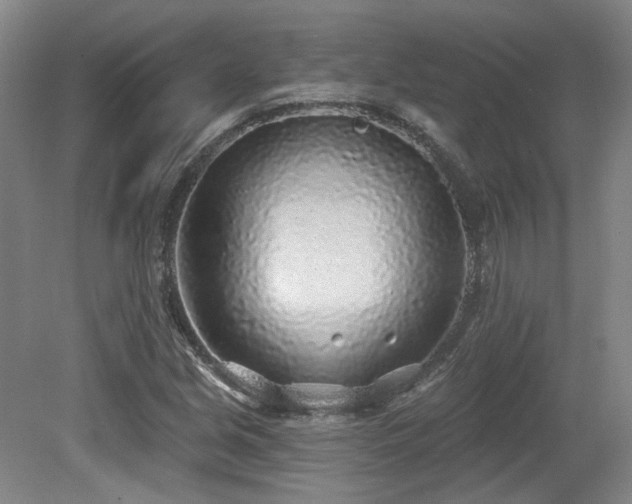 X0000079291213200611171042