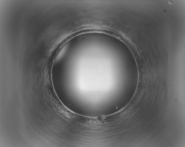 X0000079291215200611171042