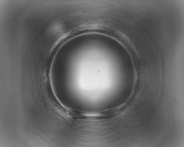 X0000079291218200611171042