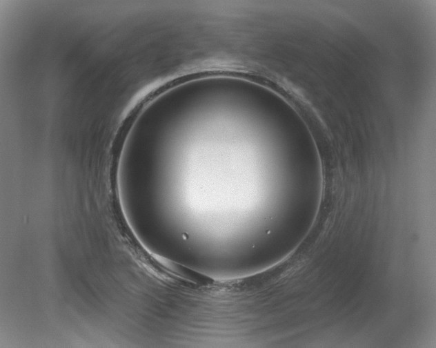 X0000079291222200611171043